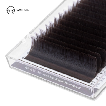 پالت مژه شکلاتی تیره Dark Chocolate وینلش (Winlash)-وینلش