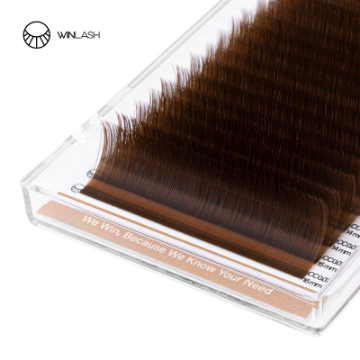 پالت مژه زیتونی روشن Kaki 2 وینلش (Winlash)-وینلش